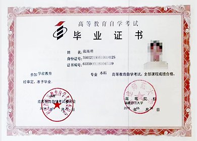 教辅资料难寻，需要高效备考资料？